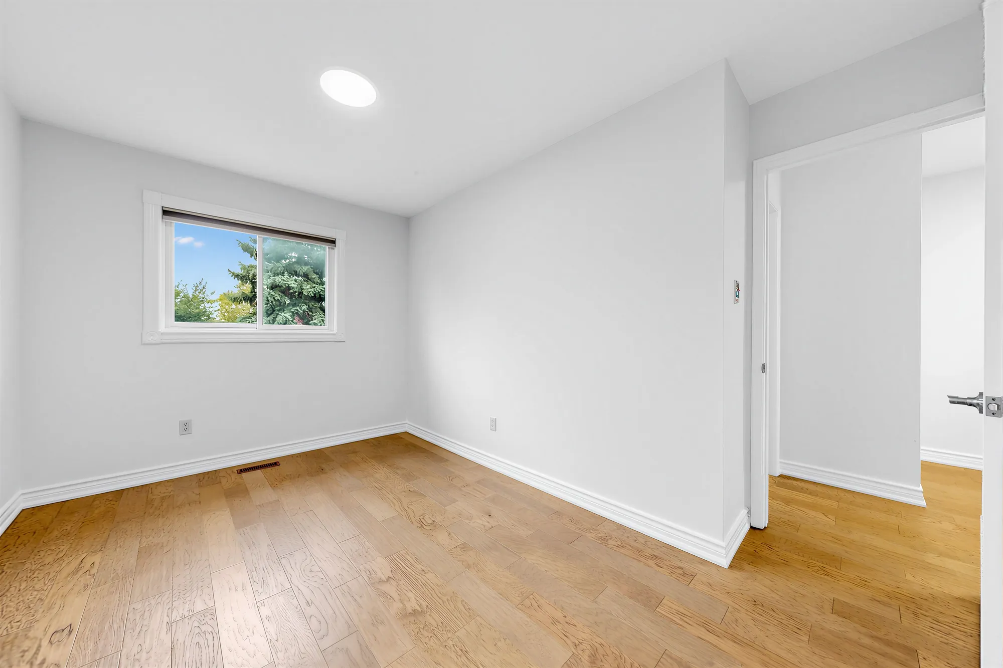 A bedroom, empty: a window onto a blue spruce and trees, hardwood floors, a ceiling light, the door open at the right